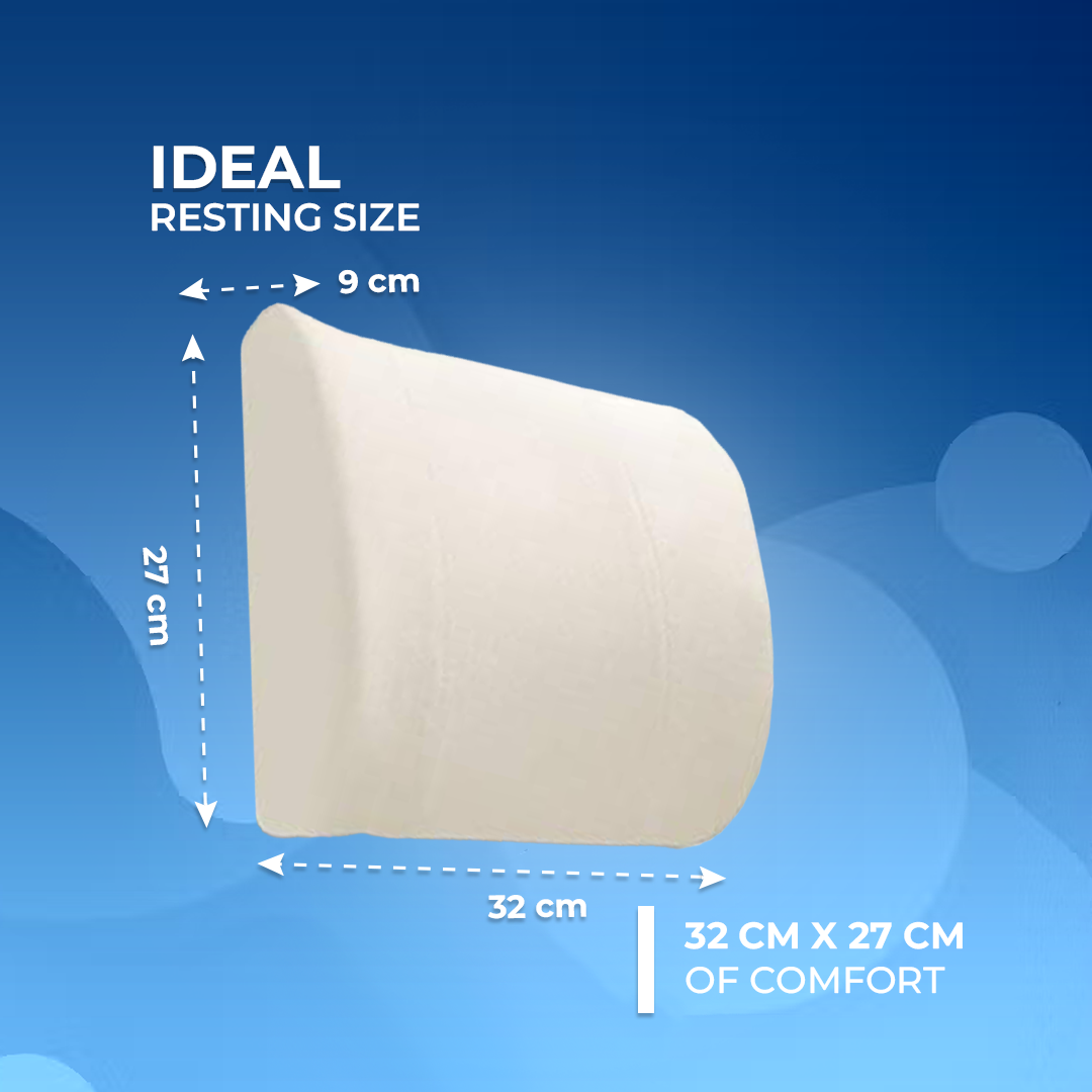 Thomsen Lumbar Pillow