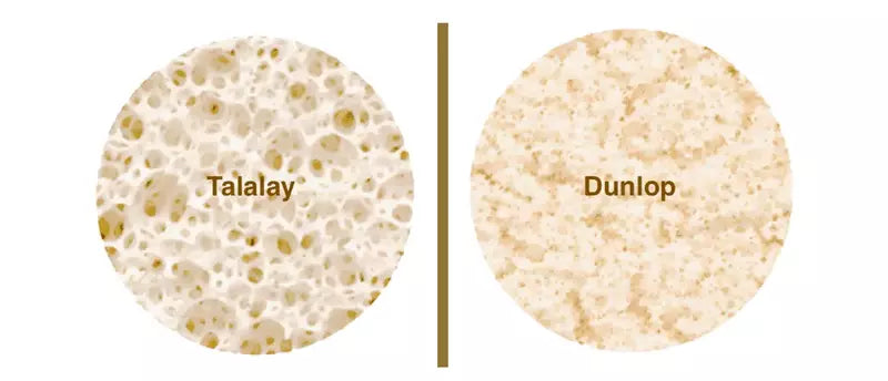 Dunlop Vs. Talalay Latex: Understanding the Differences